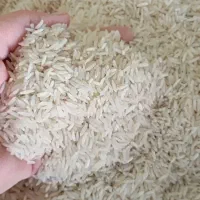 برنج اصیل گلستان|خوردنی و آشامیدنی|قزوین, |دیوار