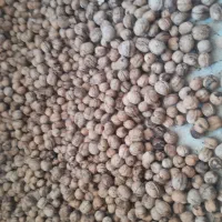 گردو خوب فسنجون خوش تعم وباکیفیت
