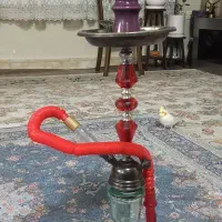 قلیان