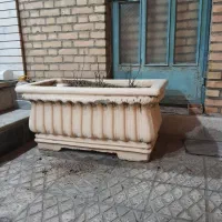 گلدان بزرگ|گل و گیاه طبیعی|اصفهان, جلفا|دیوار