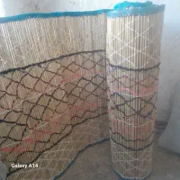 چیت نو