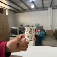 محصولات یکبارمصرف کاغذی|ظروف نگهدارنده، پلاستیکی، یک‌بارمصرف|اندیمشک, |دیوار