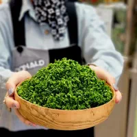 سبزی تمیز شده|خوردنی و آشامیدنی|مشهد, گلشور|دیوار