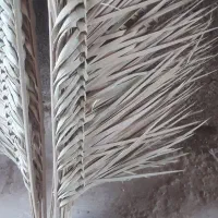 جارو دستی|لوازم نظافت|اهواز, کارون|دیوار