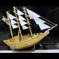 کشتی ویترینی