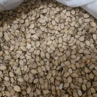 تخمه هندوانه و آفتابگردان وخاکشیر|عمده‌فروشی|سرچهان, |دیوار