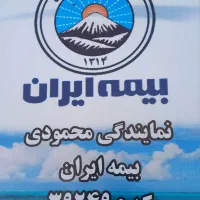 بیمه ایران نمایندگی  محمودی