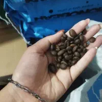 شرکت بازرگانی (بسته بندی)