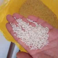 برنج سالم هاشمی و کاظمی ولاشه نیمدانه