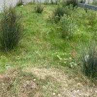 فروش-260-متر-زمین-خوشقواره-در-چالوس