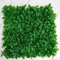گرینوال نارنج