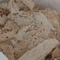 نان خشک