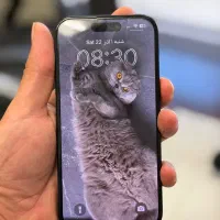 آیفون۱۶نرمال با ریجستری مشکی|موبایل|اردبیل, |دیوار