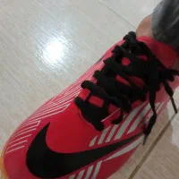 نایک جورایی سالنی وچمن نو|کیف، کفش، کمربند|ساری, |دیوار