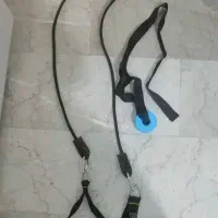 کاملا سالم
