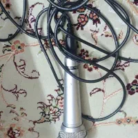 کیف و کفش|کیف، کفش، کمربند|گلبهار, شهر جدید گلبهار|دیوار