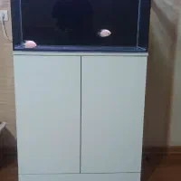 اکواریوم بک سامپ