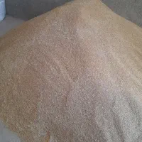 نخود گندم دیم