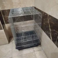 قفس