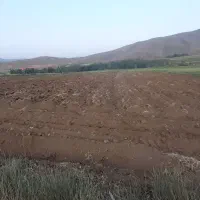 زمین زراعی نزدیک جاده