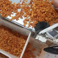 اسختدام نیرو خانم در کارگاه خشکبار زرد آلو قیصی