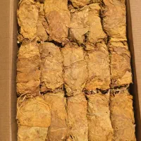 برگ زرد و قرمز|عمده‌فروشی|کاکی, |دیوار