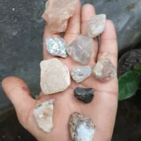 سکه سنگ|کلکسیون سکه، تمبر، اسکناس|سنگر, |دیوار