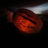 سنگ نایاب زنده دارای چشم و ابرو