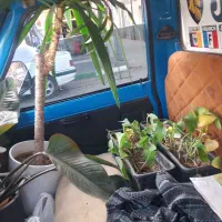 نیسان‌ یخچالدار