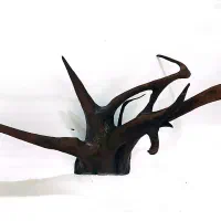 اکواریوم *چراغ اکواریوم*ابنوس*بخاری|ماهی|قم, بکایی|دیوار