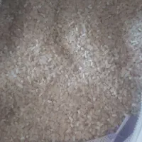 برنج شمیم هاشمی اصل کیلو ۳۰۰ خرده برنج کیلو ۱۶۰