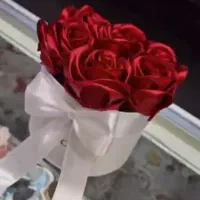 گل ربانی تک شاخه فقط و فقط 150هدیه روز دانش آموز|گل مصنوعی|شیراز, دارالرحمه|دیوار