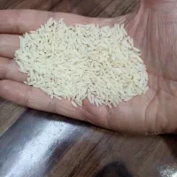 برنج طارم هاشمی خالص اعلا