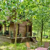 املاک طلاب قنوات