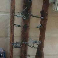 استند شیشه دلستر