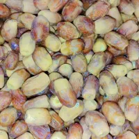 خرمای زاهدی ، قصب درجه یک مخصوص سوغاتی