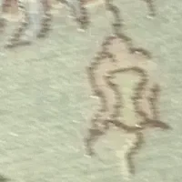 3مرغ و یک خروس سیبرایت تروتمیز پولک منظم