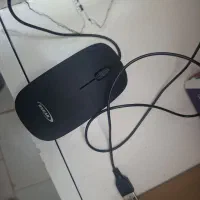 موس|قطعات و لوازم جانبی رایانه|قزوین, |دیوار