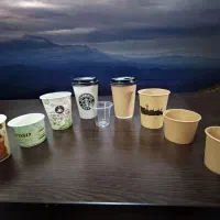 لیوان قهوه پارس کرافت تک دوبل 360