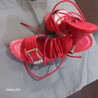 کفش مجلسی