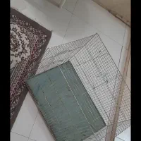 قفس