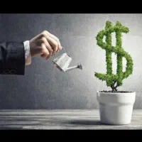 سرمایه گذار ی در امور زود بازده و میانمدت