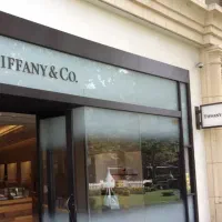 مغازه بر اصلی کارشناسان