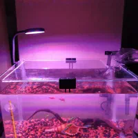 آکواریوم 30*20*20 و ماهی