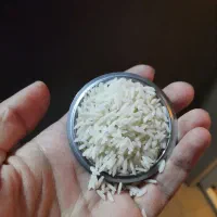 طارم‌ درجه یک