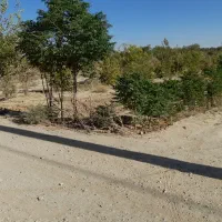 باغچه به متراژ۵۰۰متر‌‌‌‌        به ابعاد۵۰×۱۰