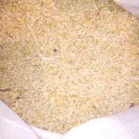 جوه|گل و گیاه طبیعی|کلاترزان, |دیوار