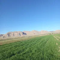 فروش-زمین-کشاورزی