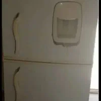 یخچال فریزر  بوفه کابینت|یخچال و فریزر|شوشتر, |دیوار