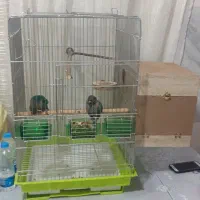 قفس کاسکویی نو